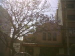 IMG00107-20110310-1440.jpg