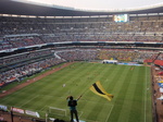 Pumas-5.JPG