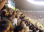 Pumas-6.JPG
